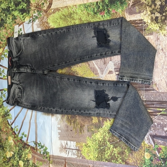 PILCRO x Anthropologie slim boyfriend distressed jeans size 25